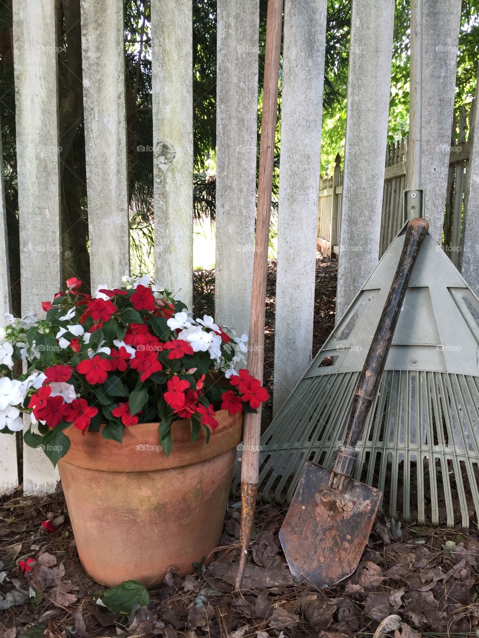 Garden tools and flowers