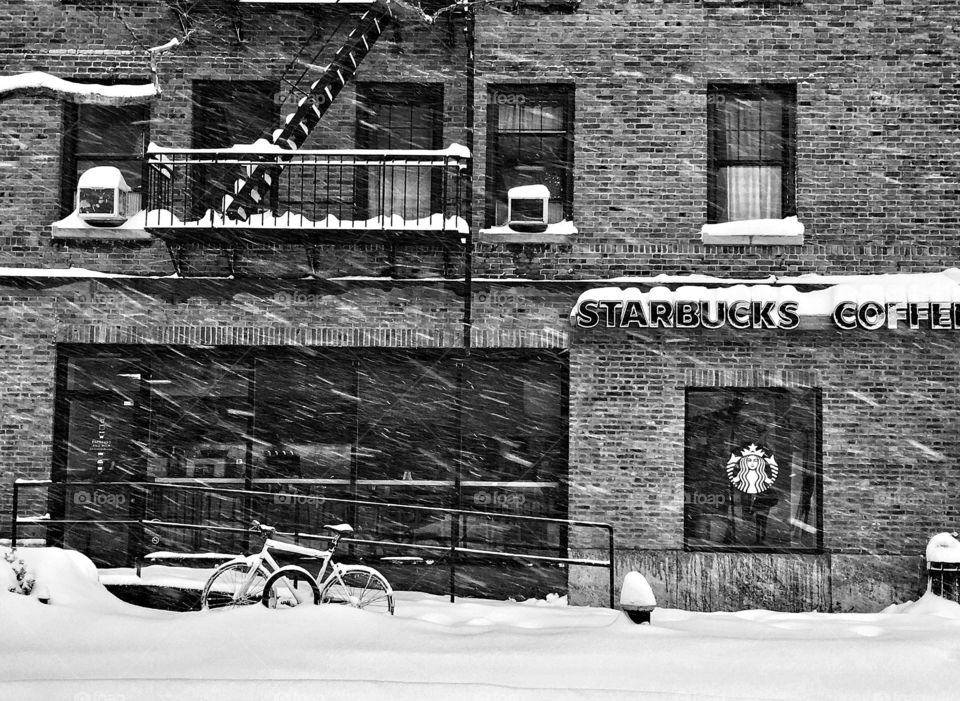 Starbucks in New York City Blizzard 