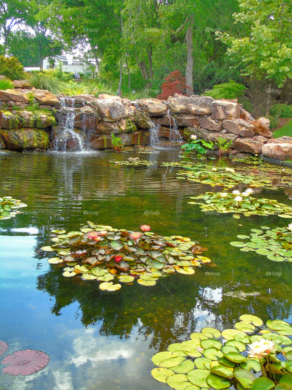 Water gardens