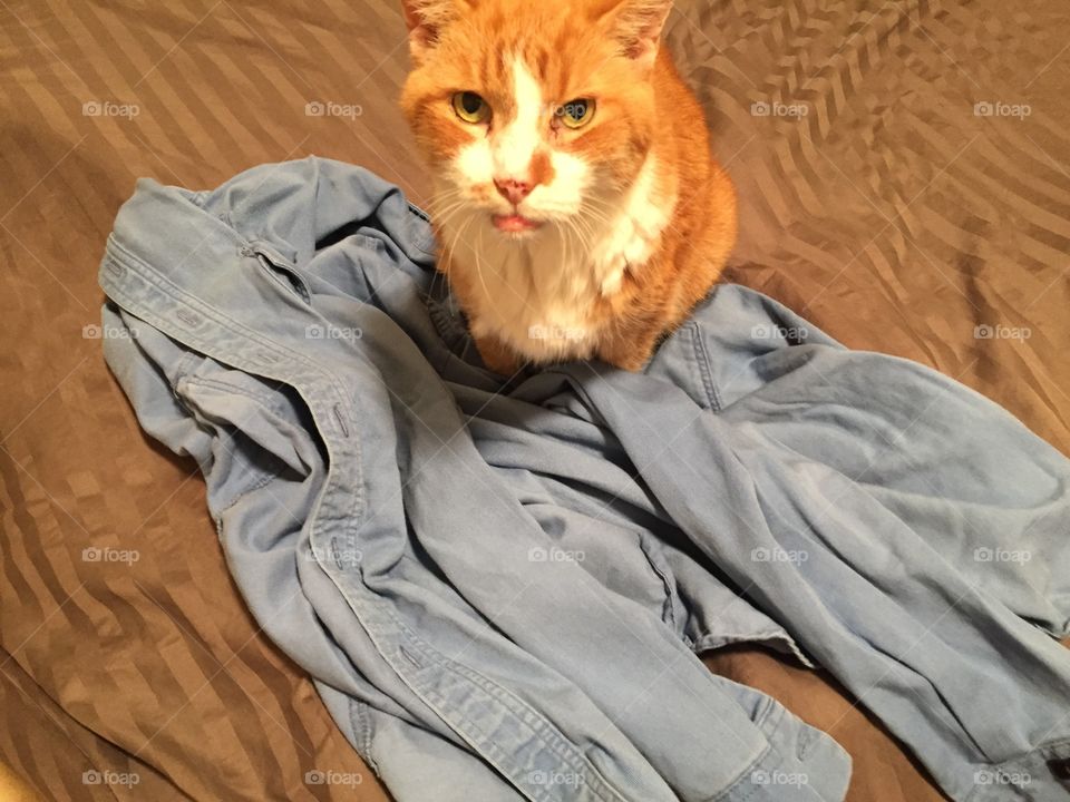 You're not wearing it.