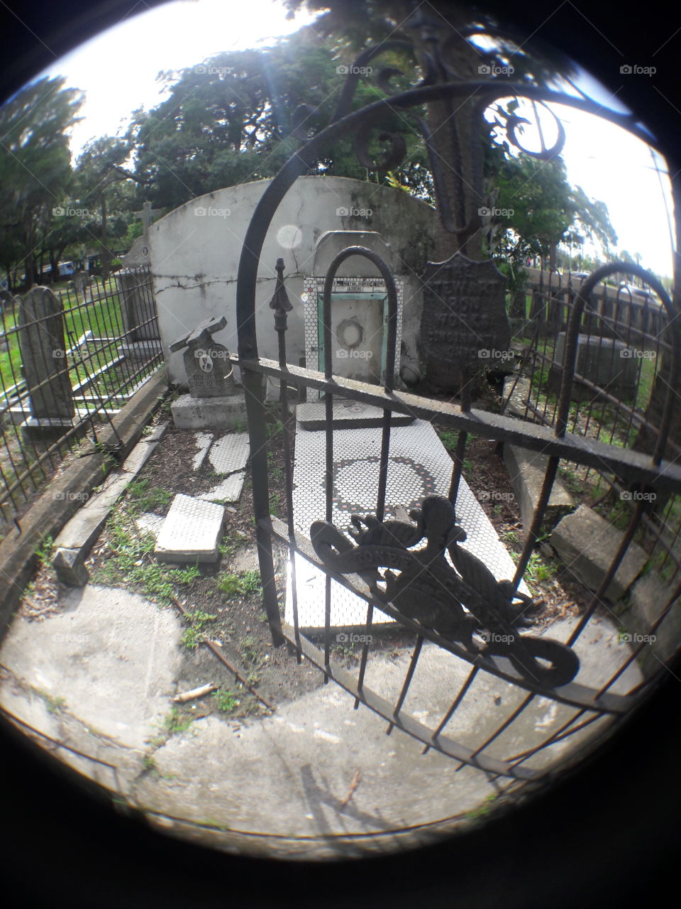 turn of the century grave in downtown Tampa Oaklawn cemetery