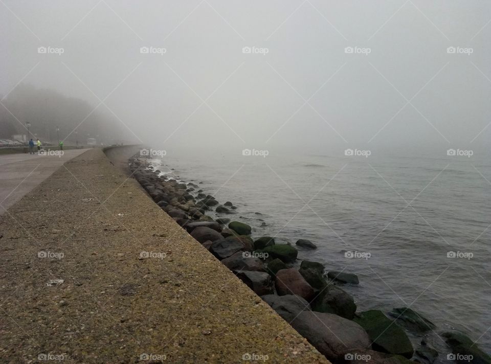 Fog, Sea, Beach, Water, Landscape