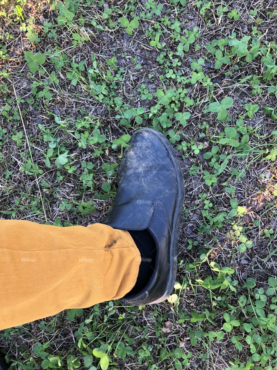 Dirty shoes on the grass