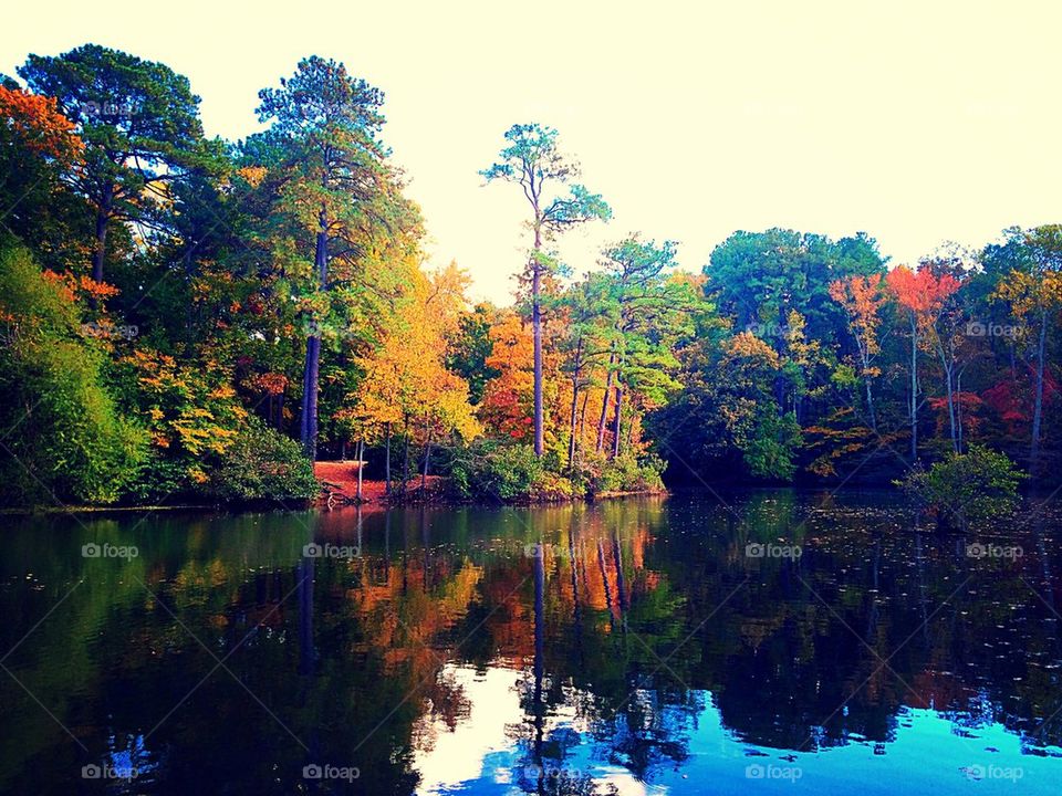 Autumn reflection