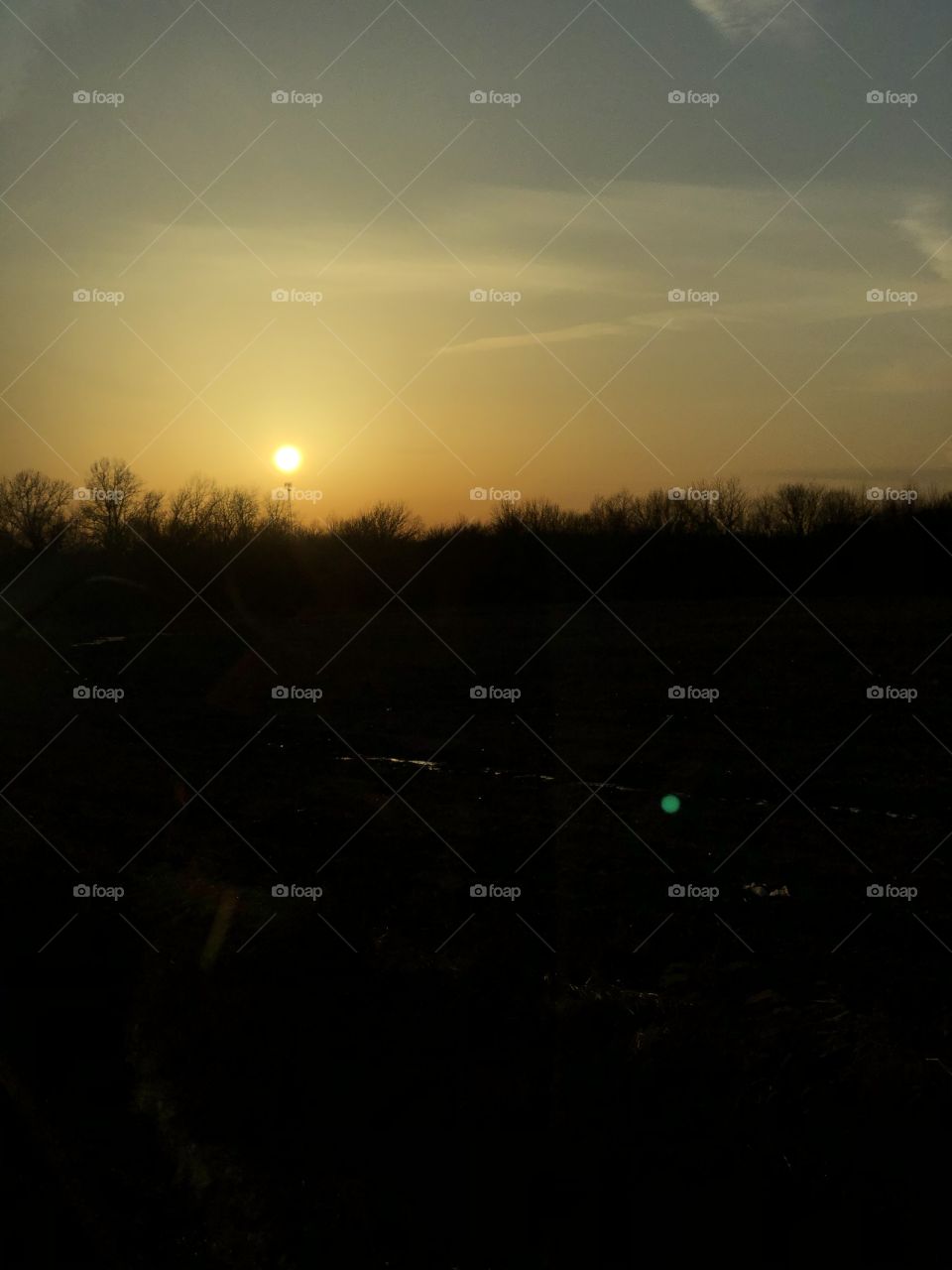 Traveling past forests and trees with a sunset above going down for the night.