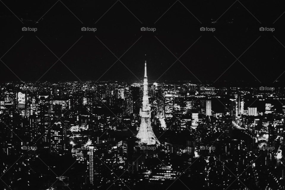 Look at the Tokyo Tower in Roppongi Tower