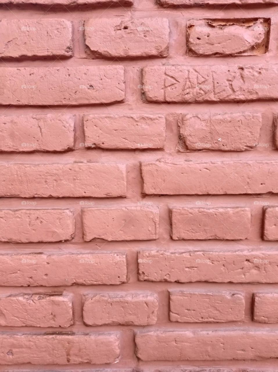 brick wall / pared de ladrillo