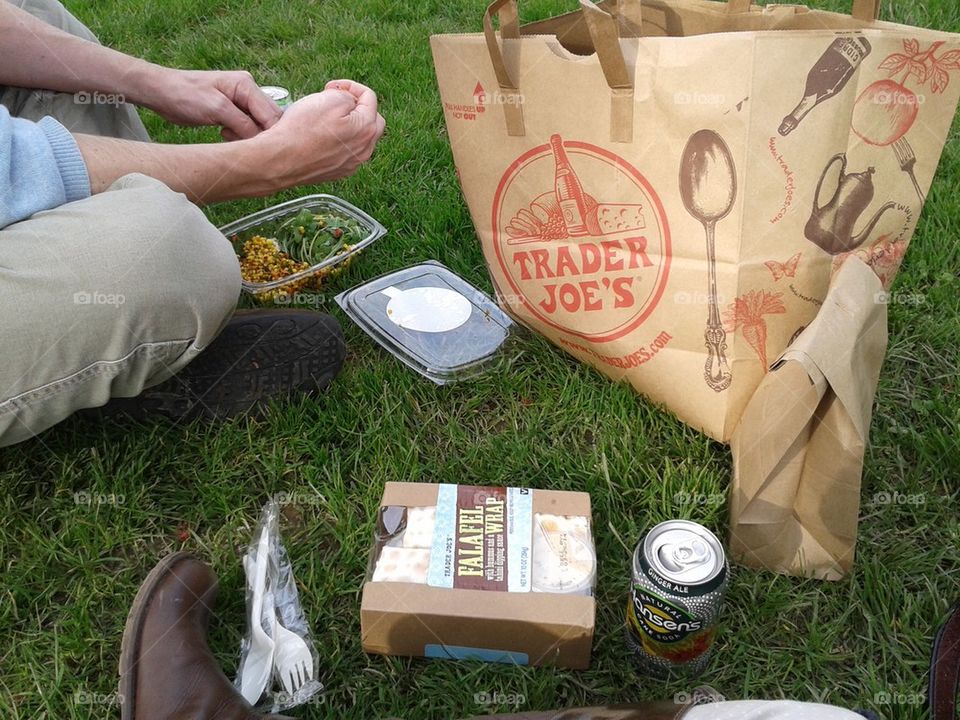 trader Joe's picnic