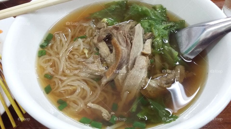 Duck Noodle