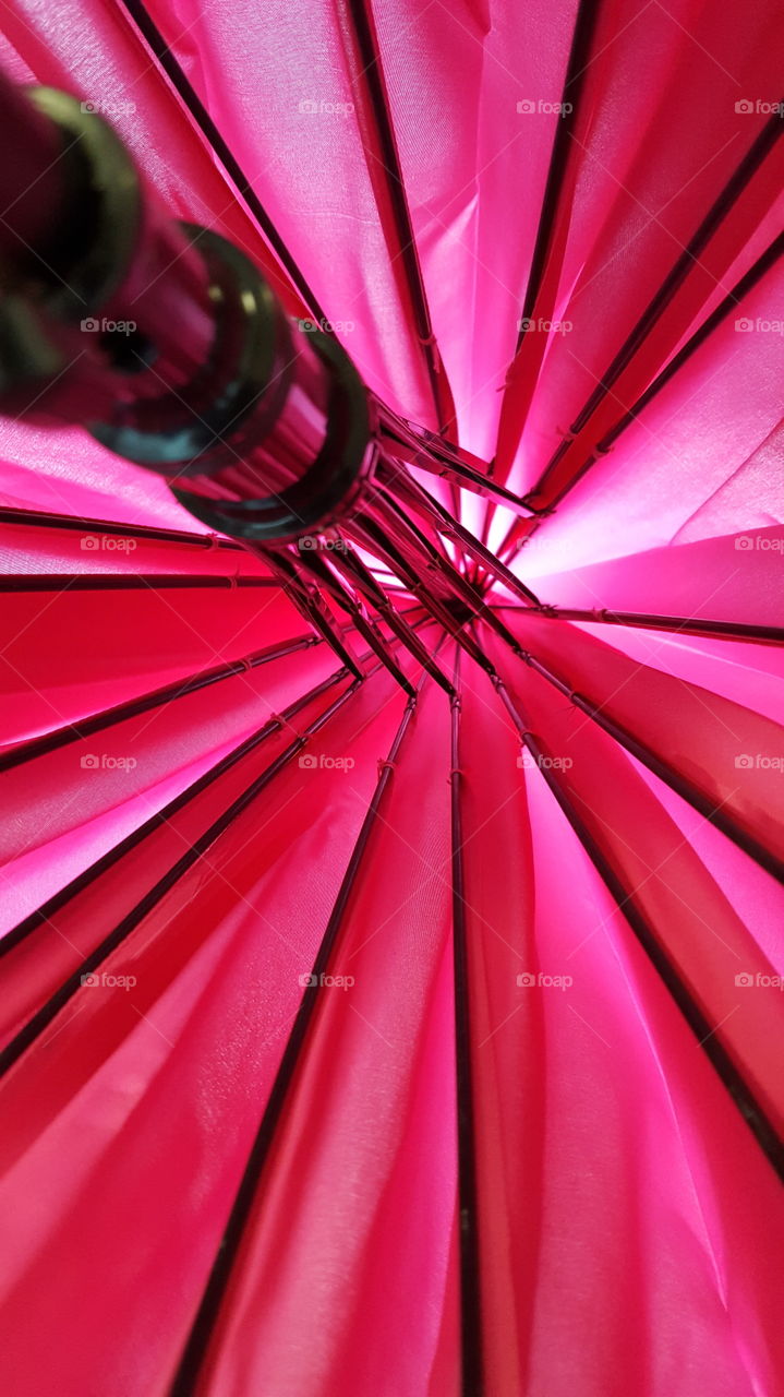 Close-up of pink umbrella