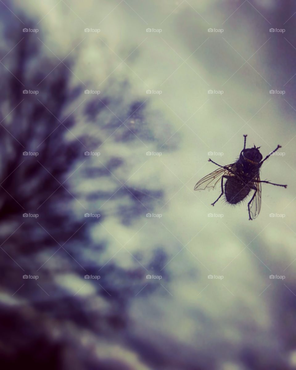 Perpective Is Powerful.
What do you see ?