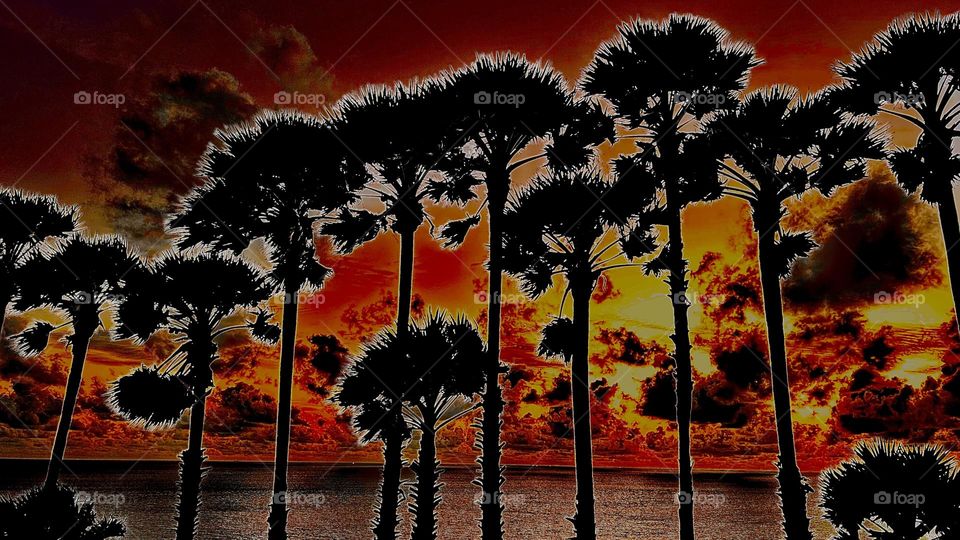 Abstract silhouette palm trees