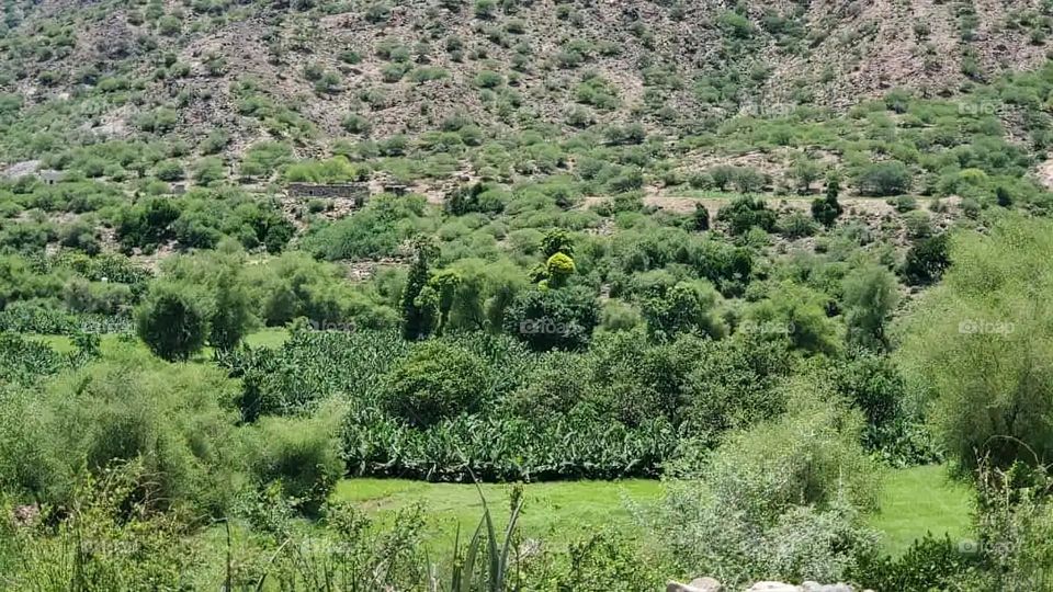 Glory be to God, the magnificent and picturesque view and the natural green trees are a view that is nothing more wonderful than it