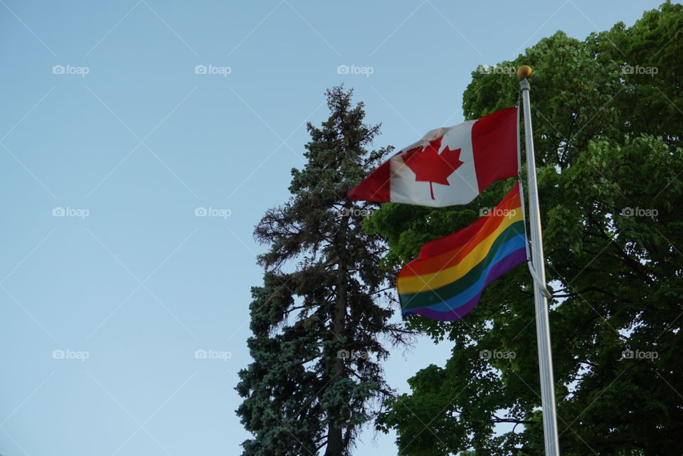 Elementary School Flags - Kitchener, Ontario, Canada