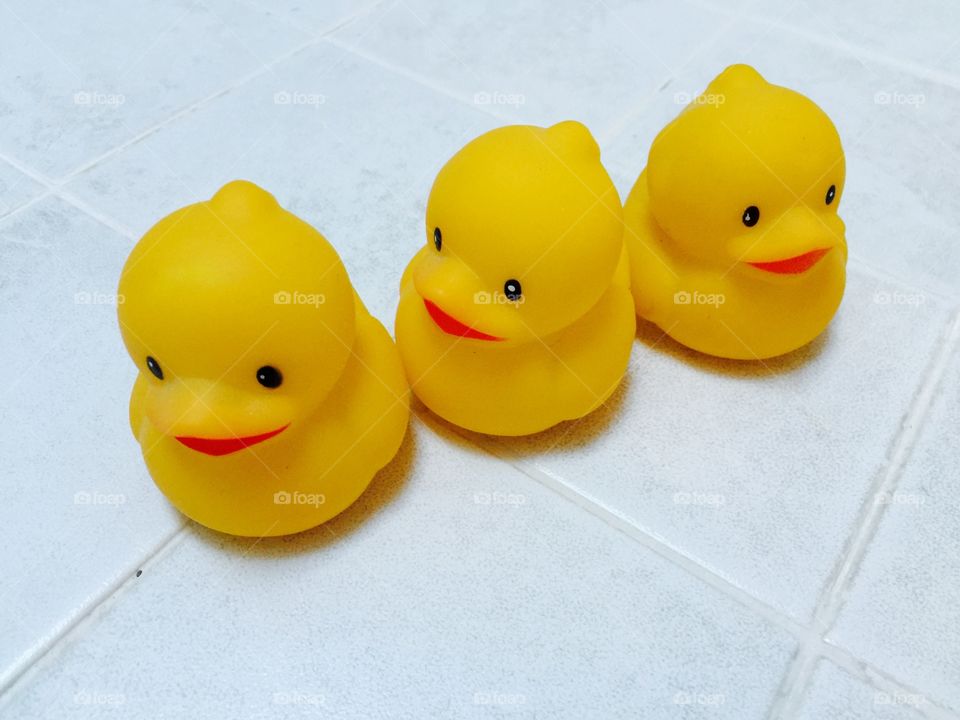 My ducks