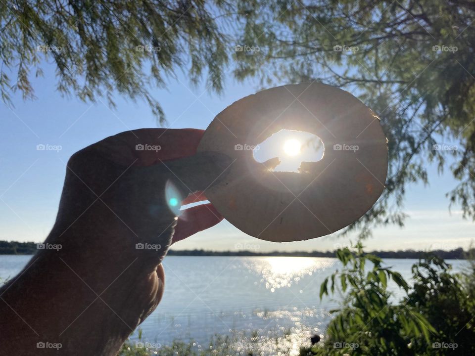 Mushroom shape in bagel