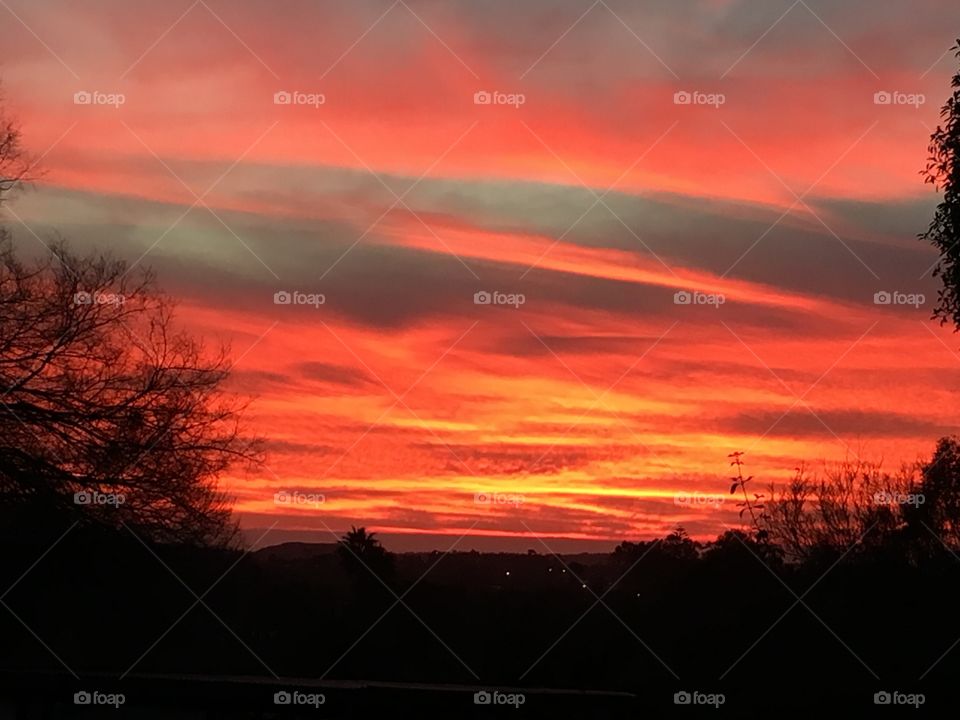 Front yard sunset, no editing