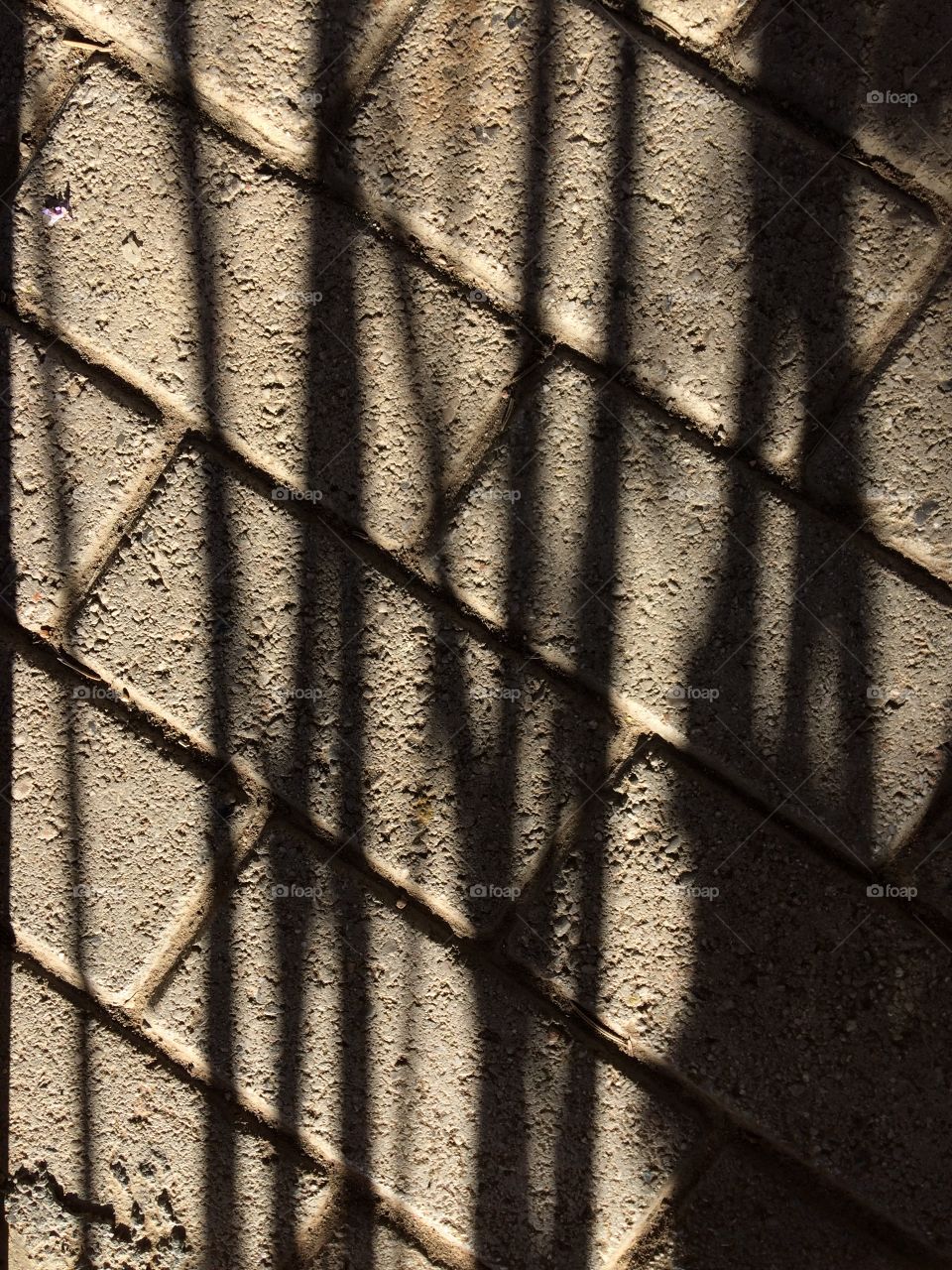 Chasing shadows in the park
