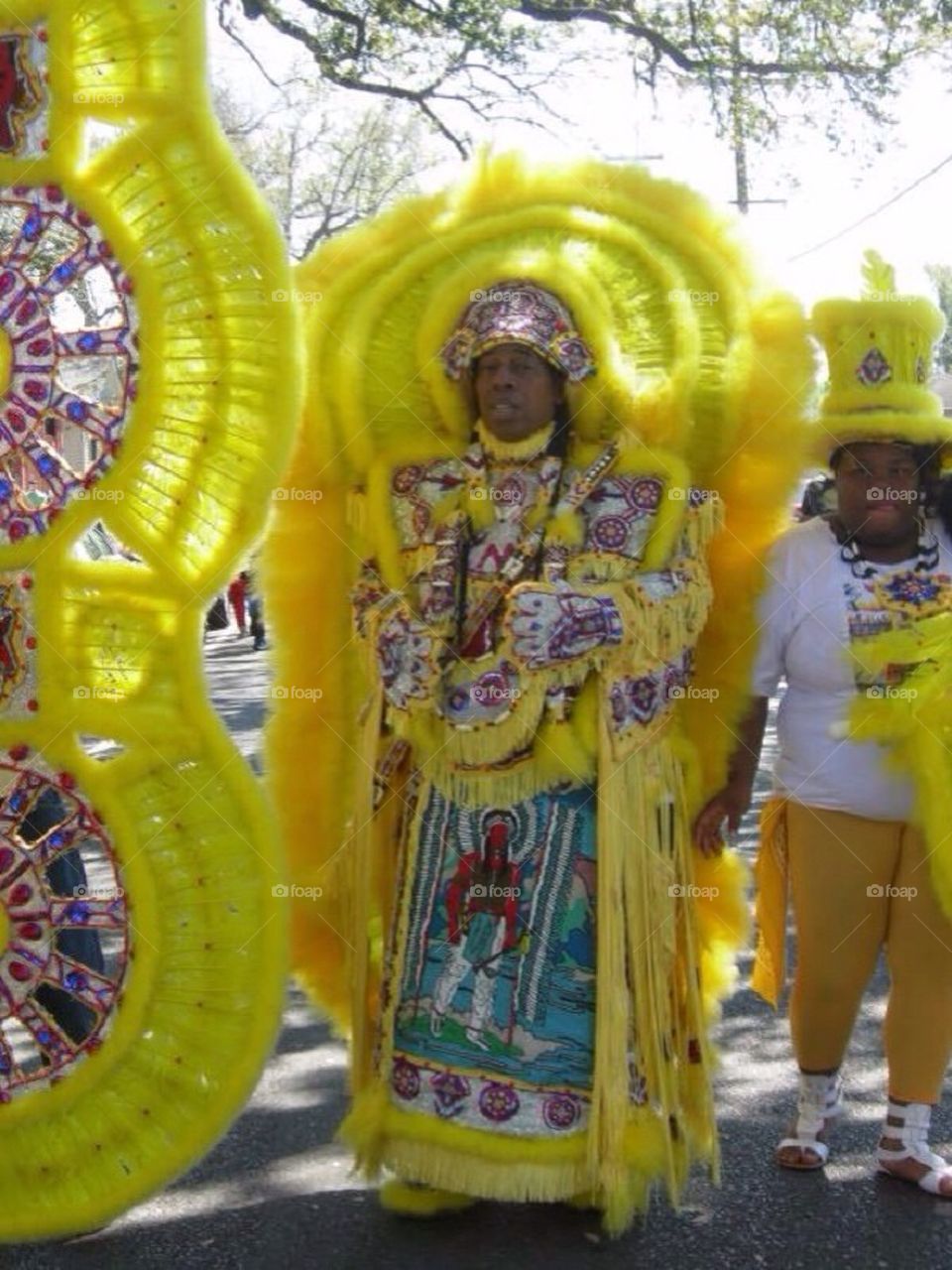 Mardi Gras Indian