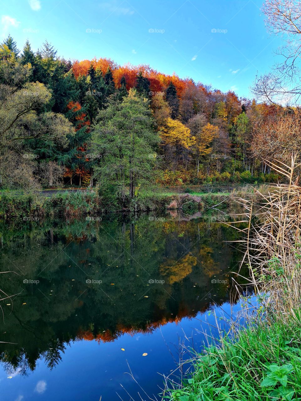 осень прекрасна  ....beautiful time