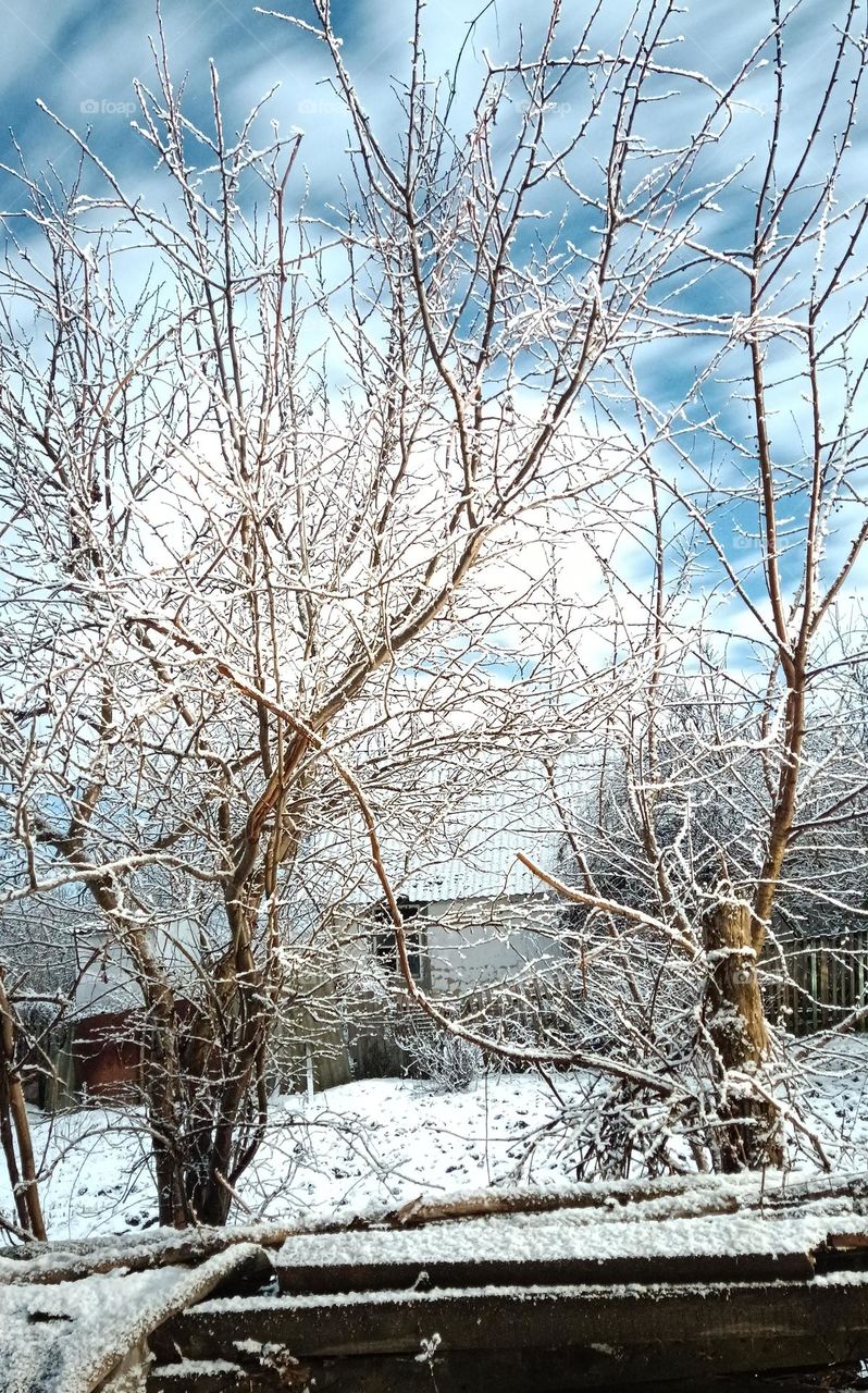 beautiful winter view