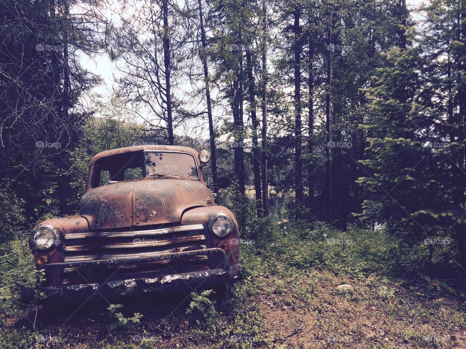 Nature reclaiming... 