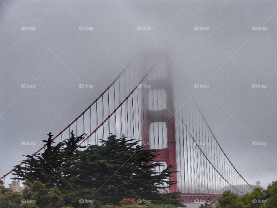 Golden Gate Bridge