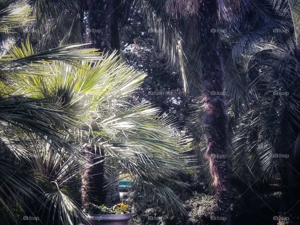 No Person, Tropical, Ocean, Nature, Beach