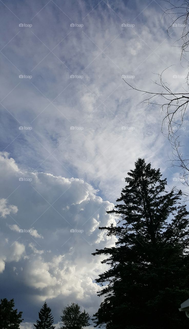 clouds and trees