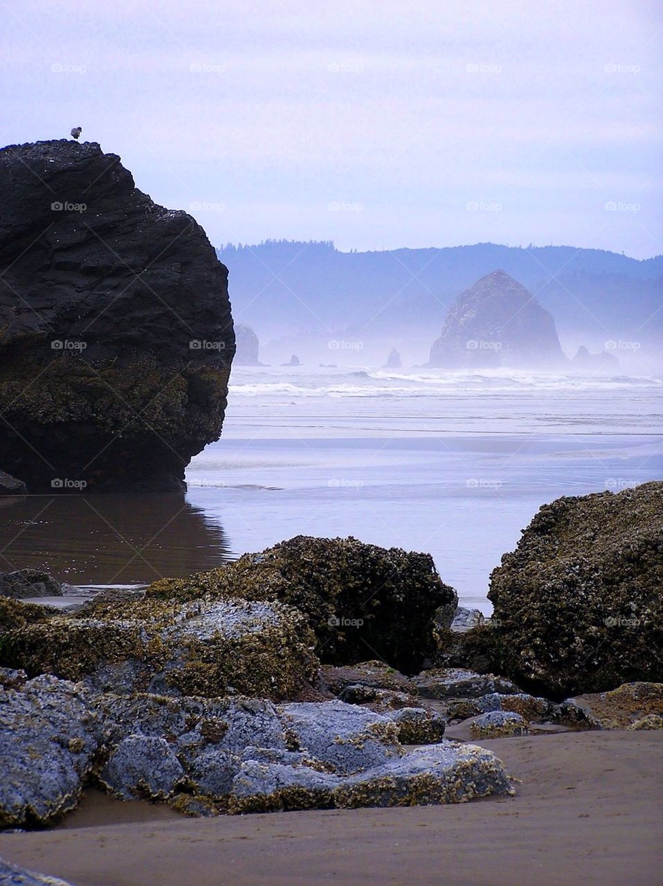 Cannon Beach Rocks