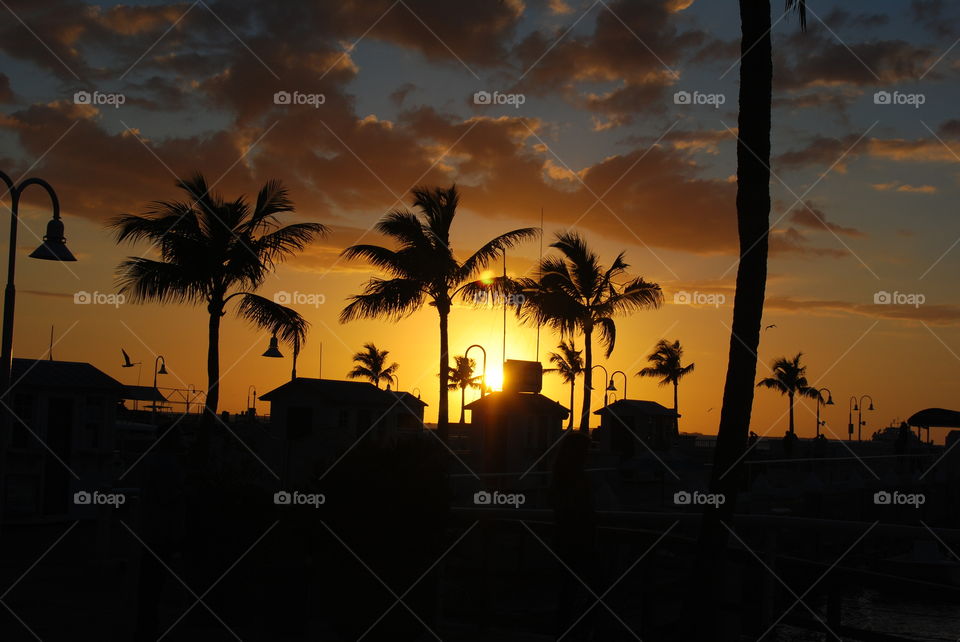 Sunset at the pier in Key West, Florida