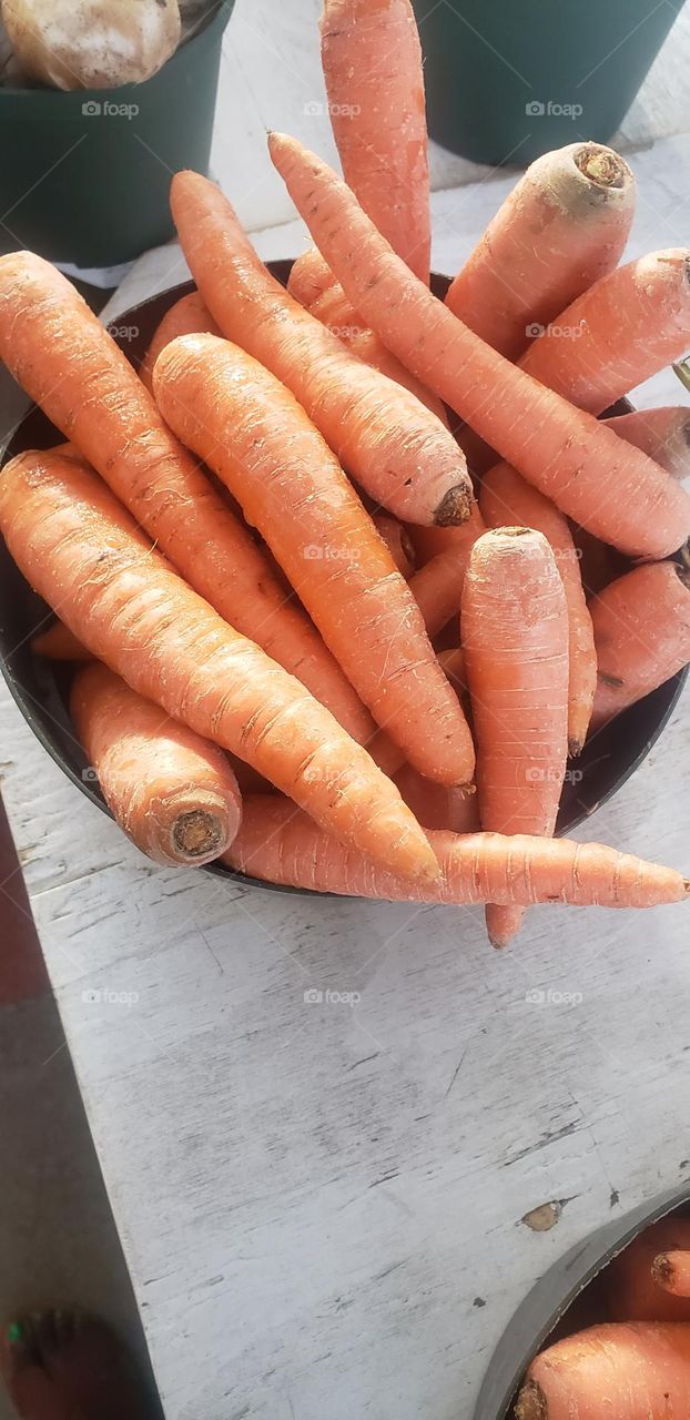 Fresh Carrots 🥕