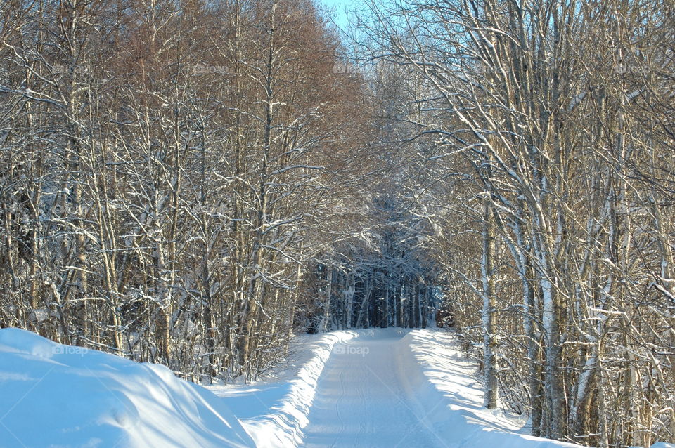 winter road