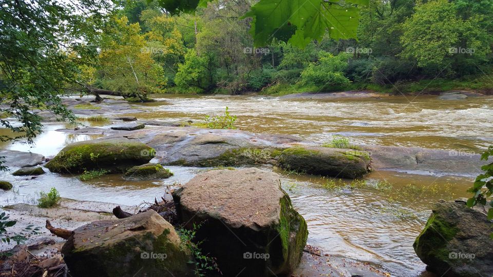 View of neuse river