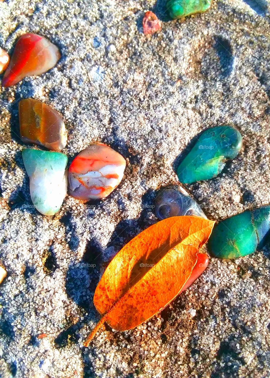 little gifts of nature