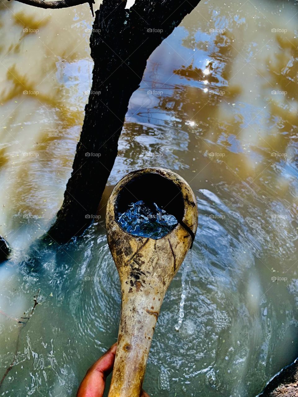 An old broken gourd used to fetch water from the well onto the containers. Rain water at the farm is very useful for human and animal consumption and also plants and gardens.