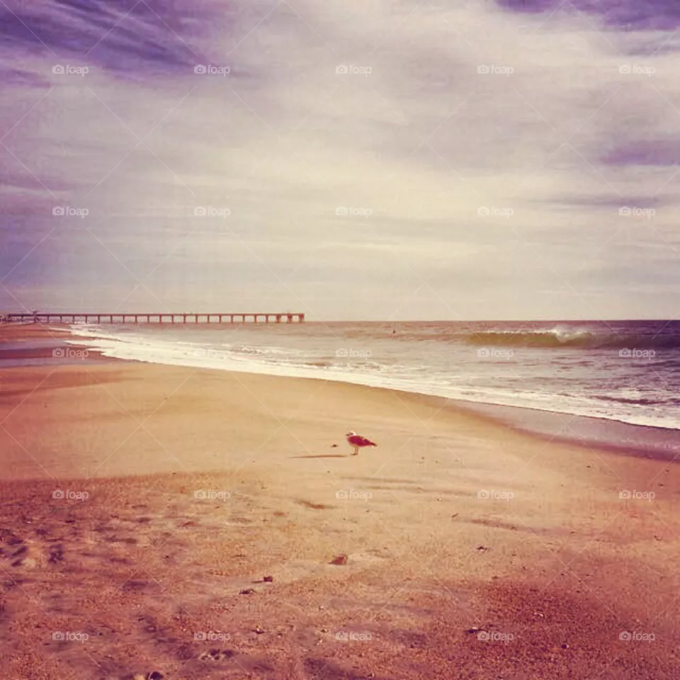 Beach, Sand, Water, Sea, No Person