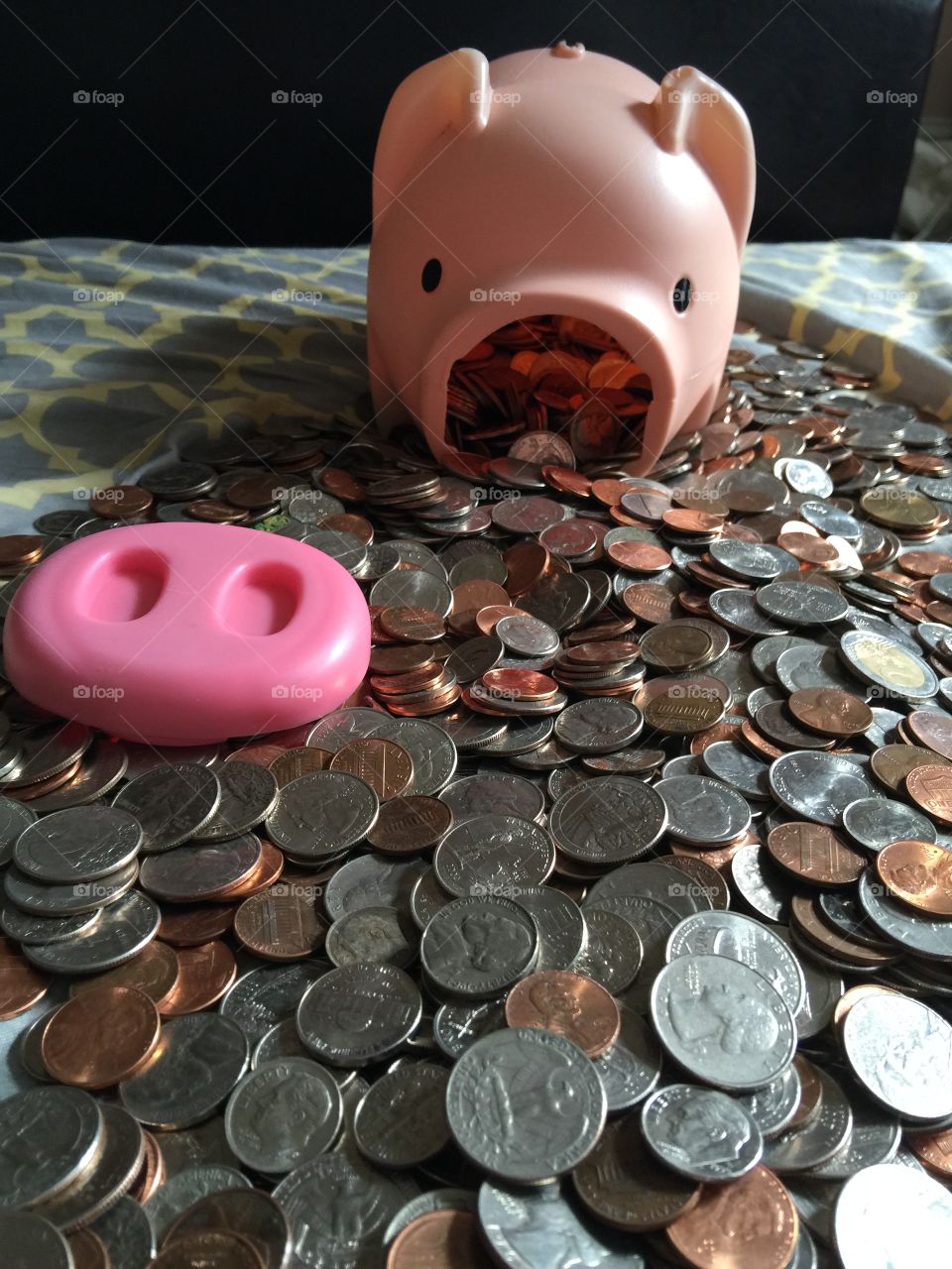Coin Pig . Broke my Piggy bank open for its Coins