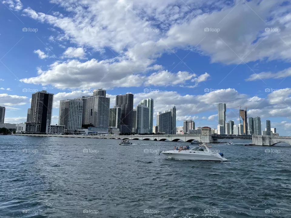 Miami bay 
