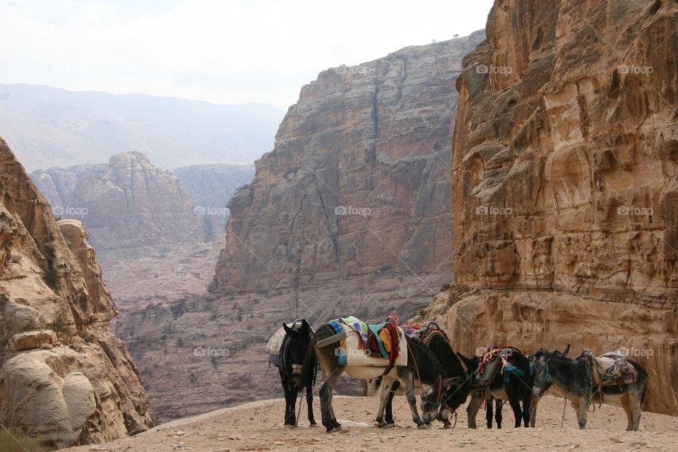 Petra, Jordan - deep into the site climbing the canyon 