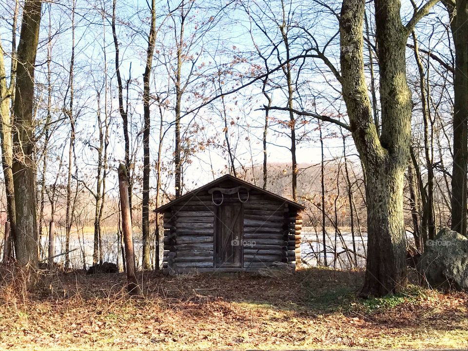 Quiet cabin in the woods