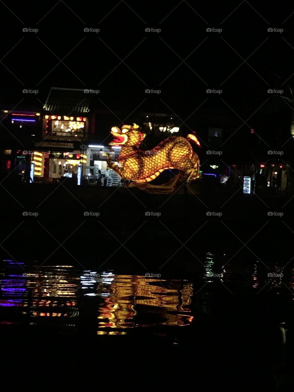 A dragon in the perfume river, Vietnam 