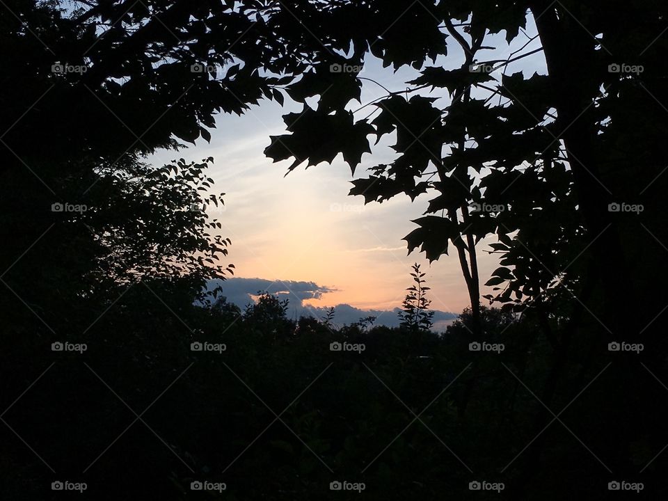 Sunset through the trees in Connecticut 