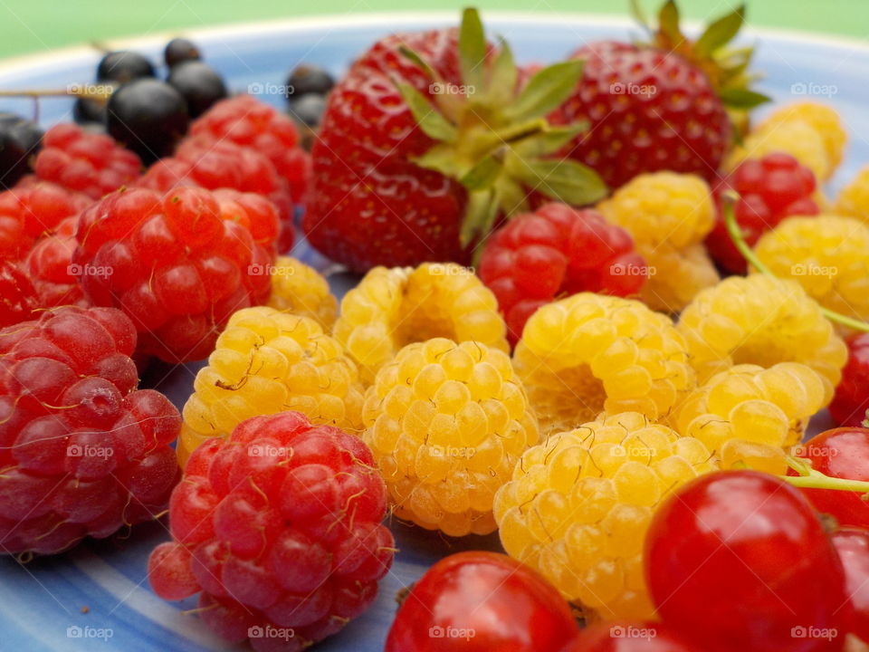 Yellow and red berries