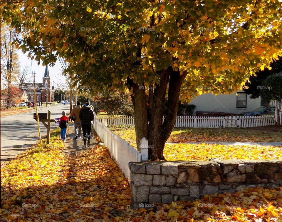 Fall in a small town