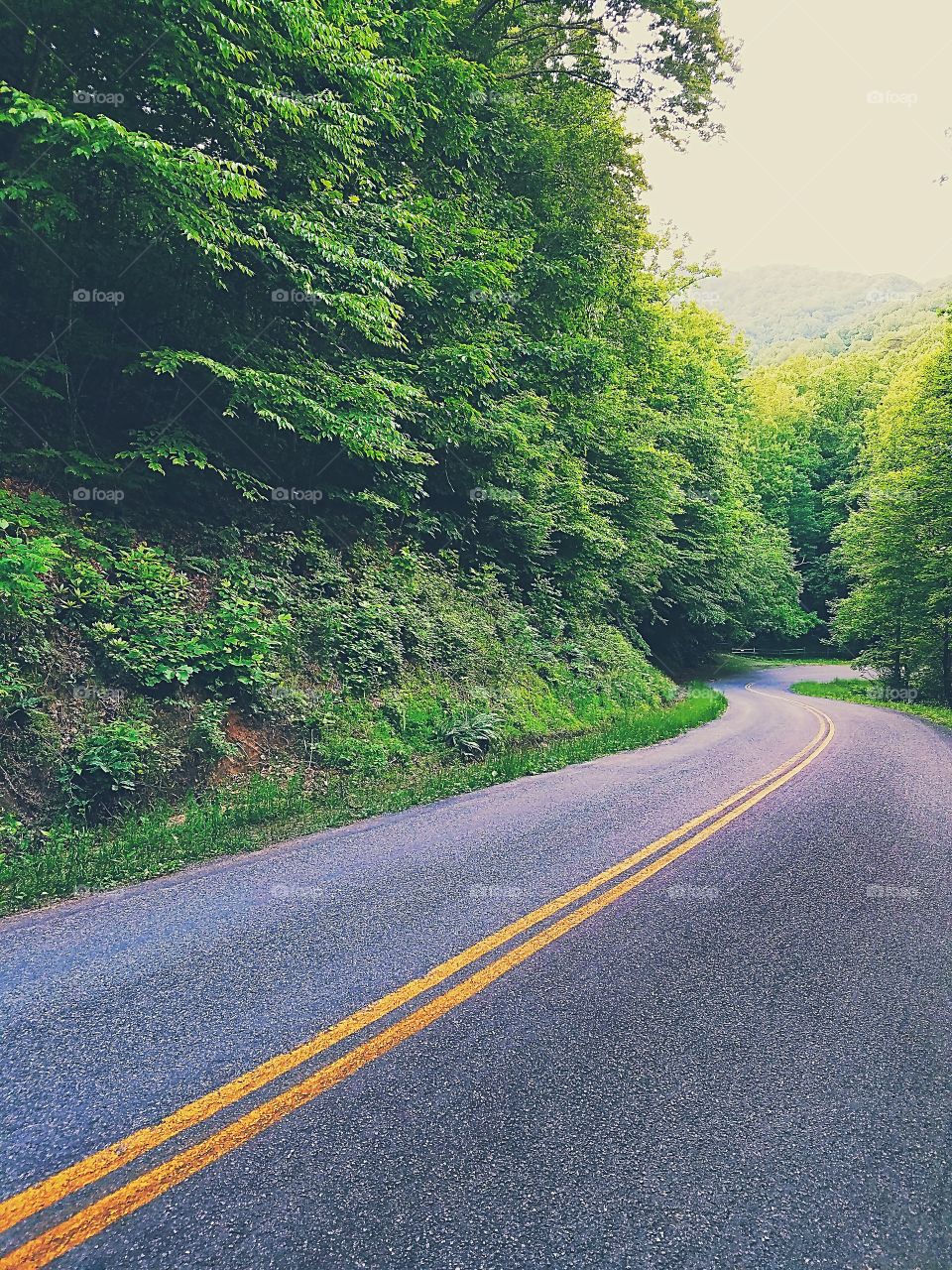 mountain side road