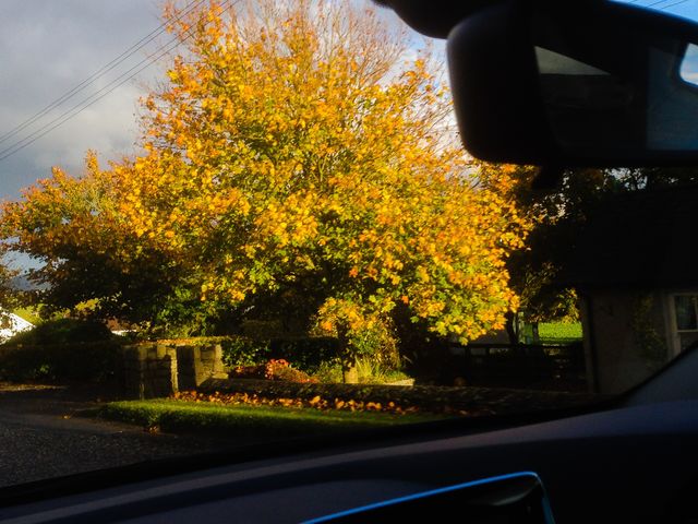Autumn