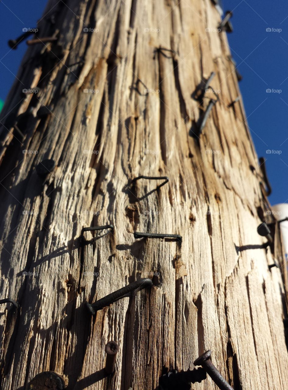 wooden pole