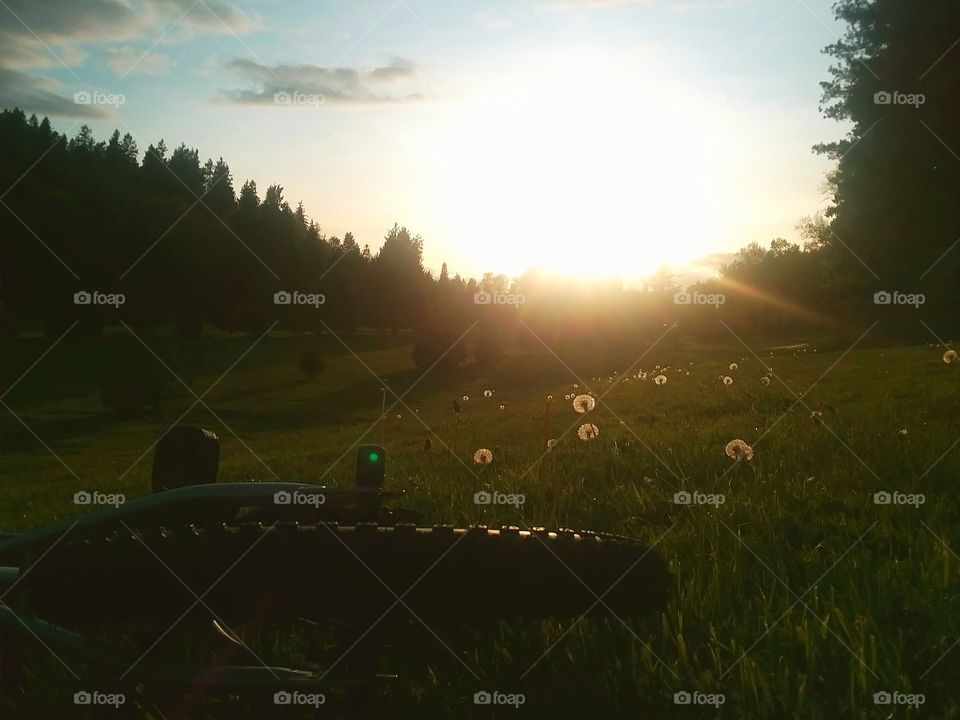 Once, When I Was Young