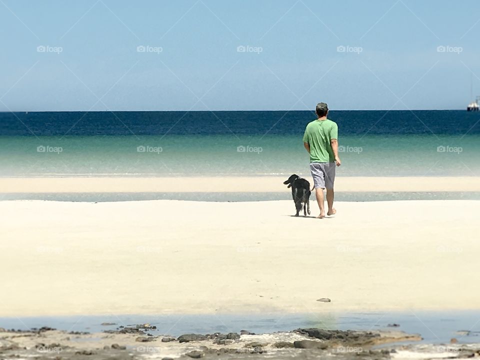 Minimalist image man walking dog at extreme low tide walking toward ocean, horizon and cargo ship in distance on vivid clear blue day